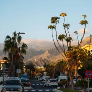Serene suburban street view in Tenerife with mountains and palm trees during golden hour.