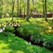 Beautiful summer landscape featuring a wooden bridge and red cabins in Swedish countryside.
